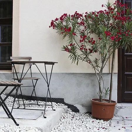 Vadszolo Vendeghaz Veszprem