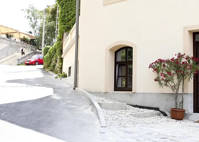 Casa de hóspedes Vadszőlő 3*