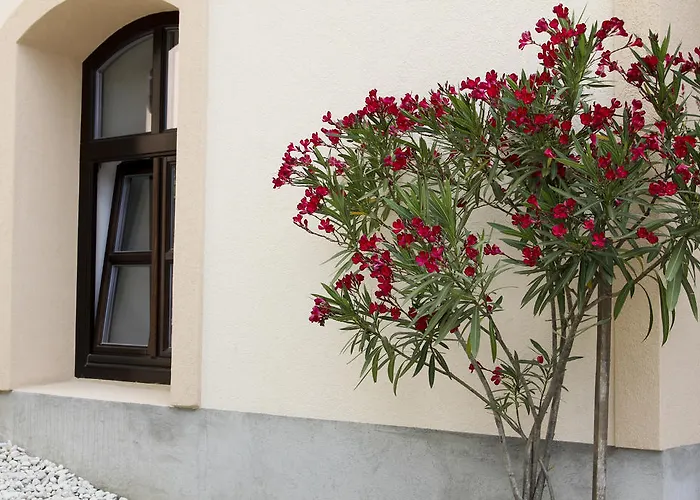 Casa de hóspedes Vadszőlő 3*