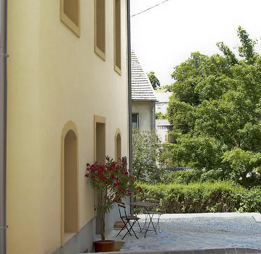 Casa de hóspedes Vadszőlő 3*