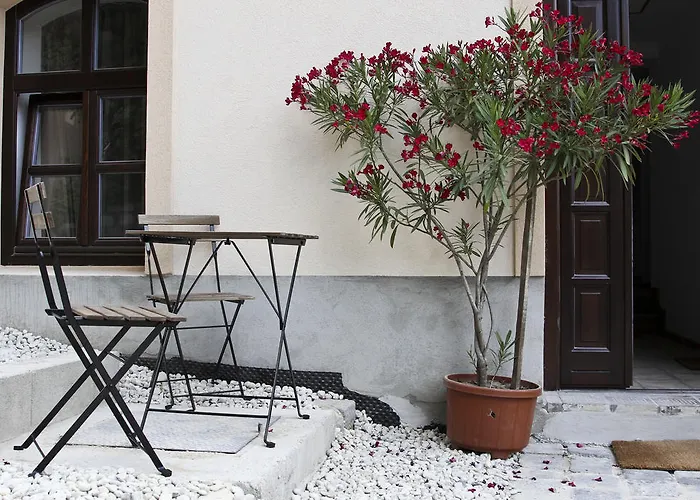 Vadszőlő Veszprém