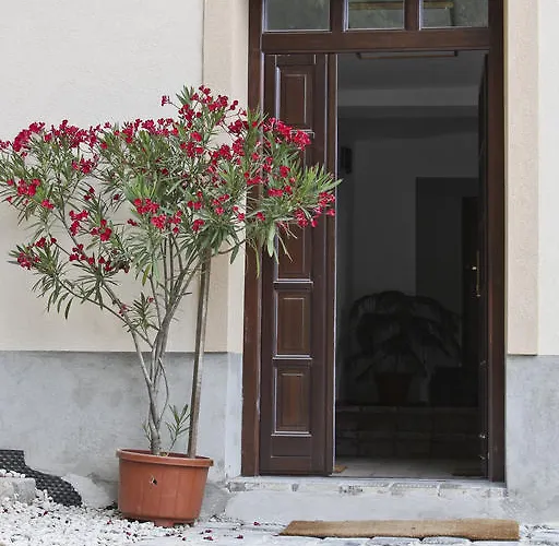 Casa de hóspedes Vadszőlő